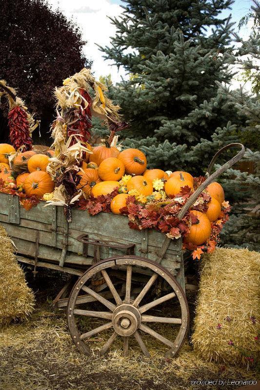 On The Alameda Hotel Santa Fe