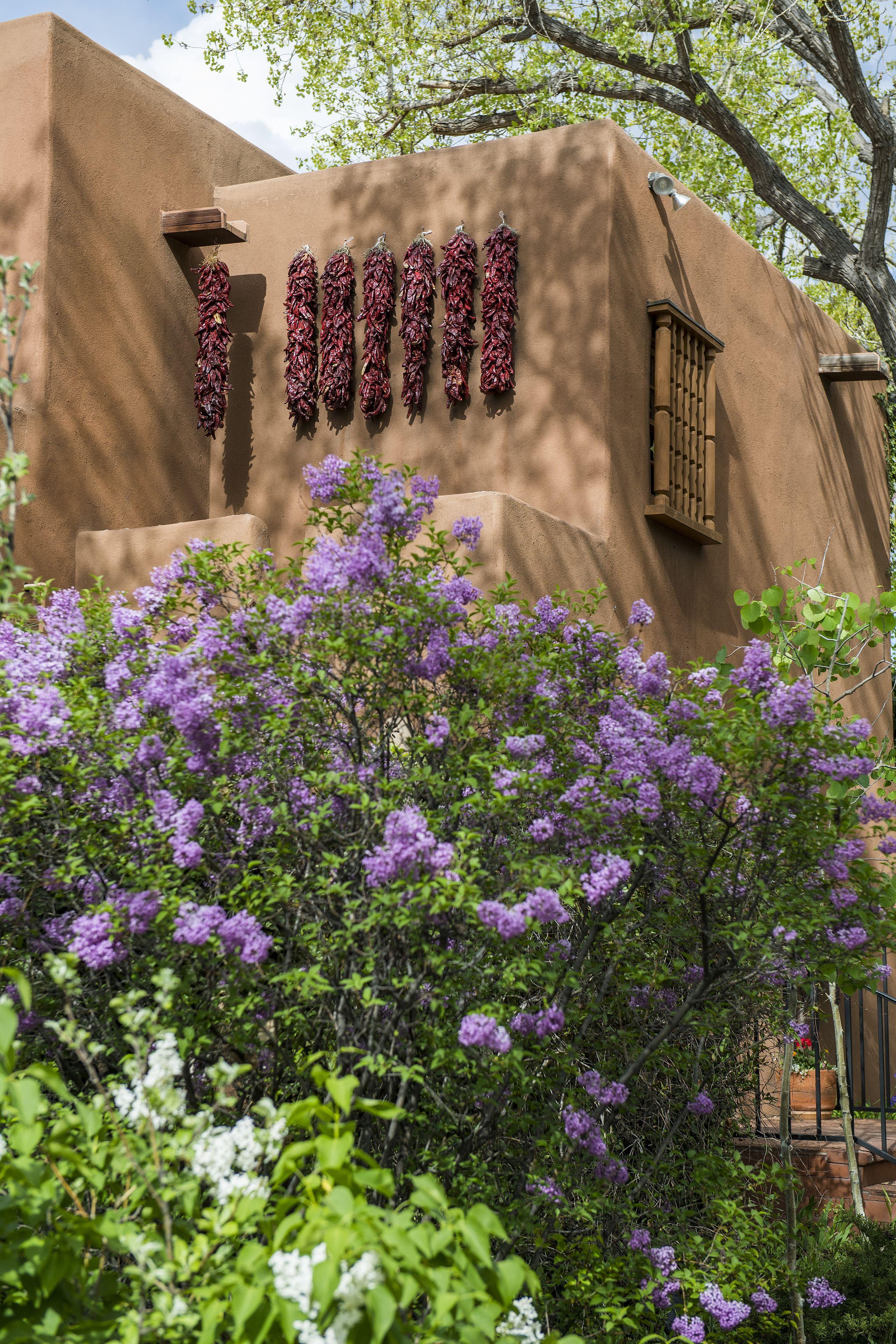 Hotel On The Alameda