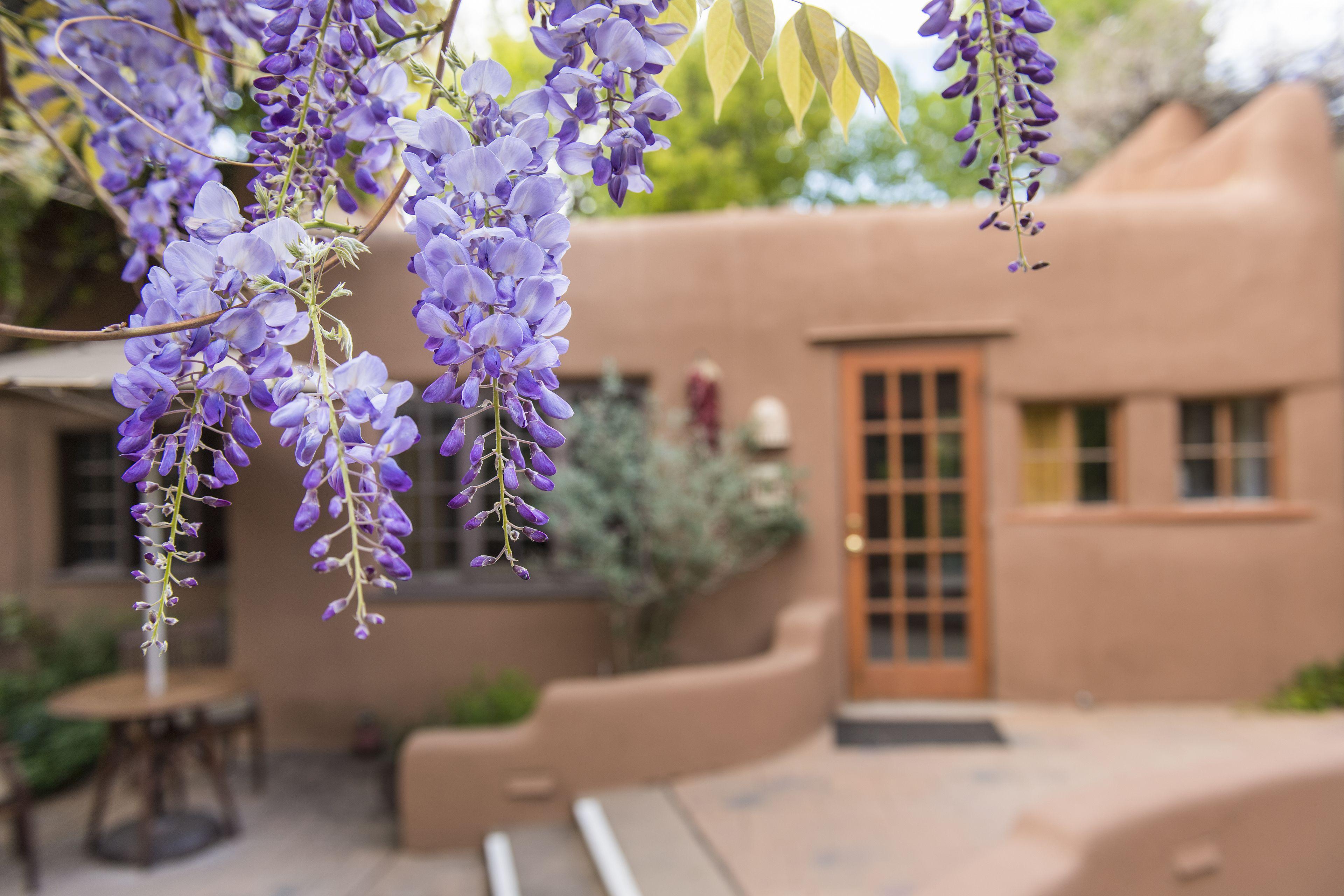 Hotel On The Alameda 3*